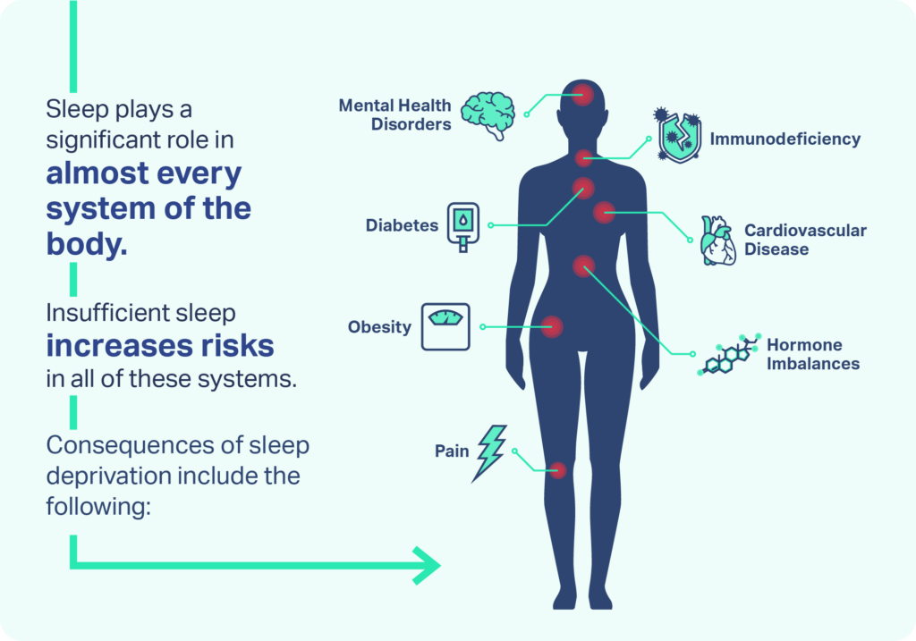 New Study Reveals Importance of Sleep for Immune Function