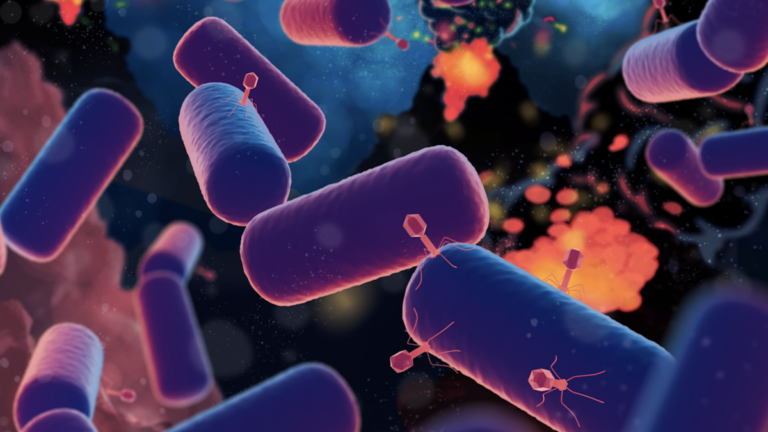 Scientists Discover New Species of Bacterial Virus in the Arctic