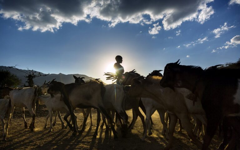 The Benefits of Community-Based Conservation: Protecting Our Natural World