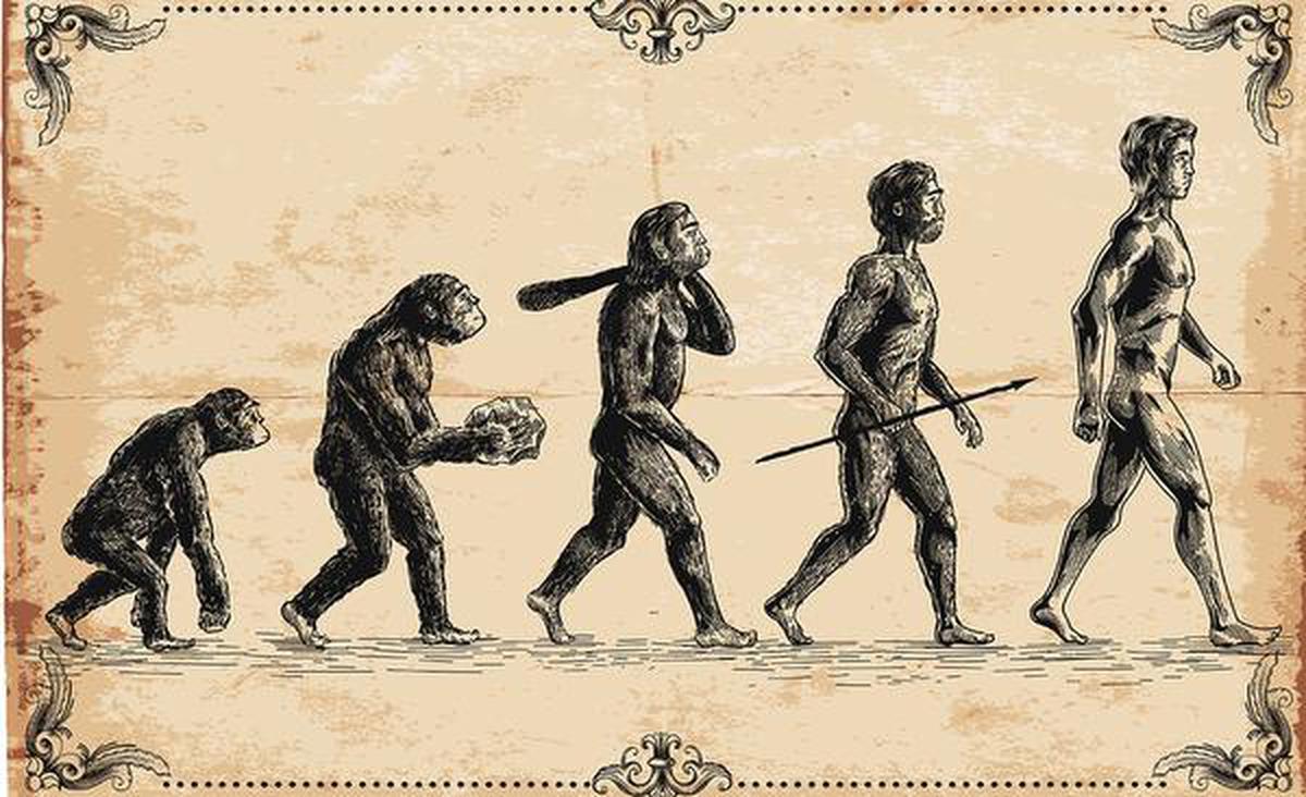 New Study Uncovers Ancient Secrets of Human Migration