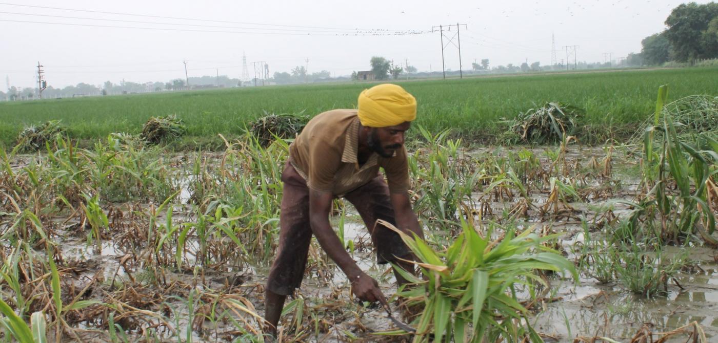 India's Farmers Protest Over Land Reforms