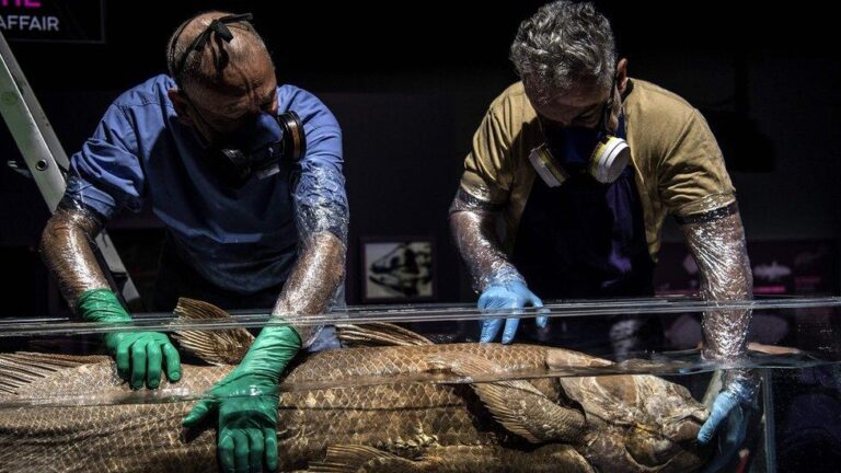 A New Study Reveals Ancient Secrets of the Dead Sea