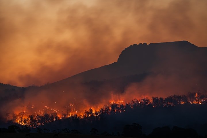 The Impact of Climate Change on Global Biodiversity